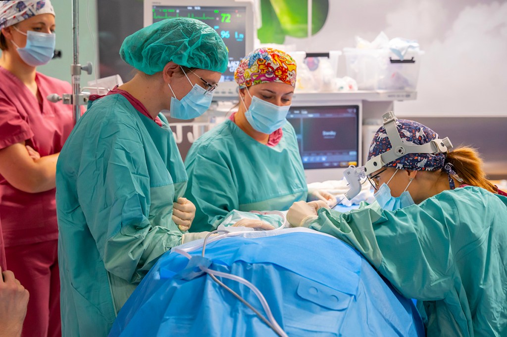 Łódzkie. 60 milionów dla szpitali i przychodni