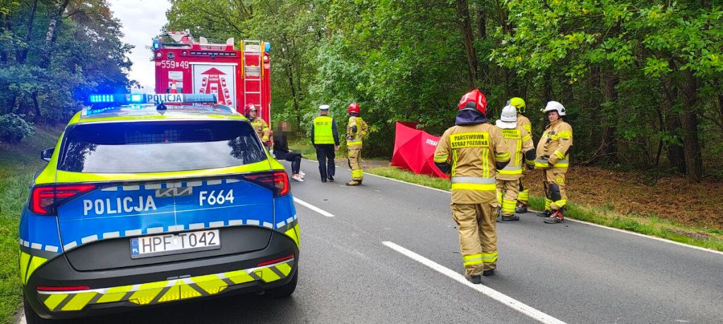 Dzietrzniki. Tragiczny wypadek na drodze krajowej numer 43